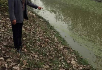 中国水困局：鄱阳湖成草海还要防火！