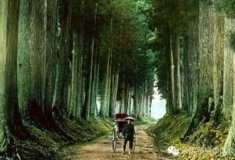 百年前的照片 披露封建日本的浮世绘