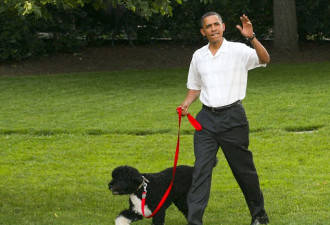男子千里赴华盛顿 只为偷奥巴马的狗