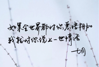 教你如何在情人节对TA说情话秀恩爱
