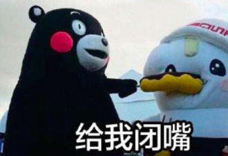 别再催我回国了！我就是想留在多伦多