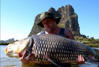 泰国湖泊巨鲤云集 大鱼长3米重200斤