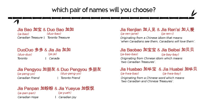 The public can choose from seven sets of names for the boy and girl pandas cubs. TORONTO ZOO.