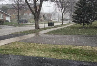 多伦多迎来4月第一场雪 下周气温仍零下