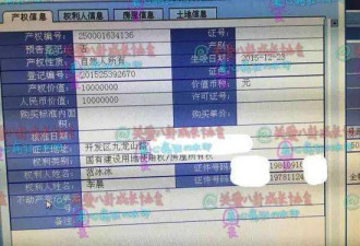 李晨范冰冰青岛购豪华爱巢 总价近千万