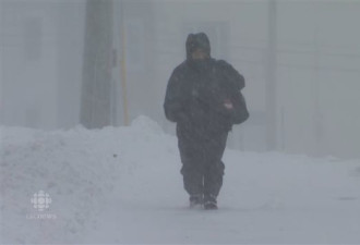 强雪暴横扫纽芬兰 学校关闭航班取消