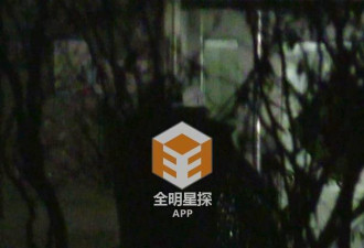 倪妮连两晚入住井柏然公寓 姐弟恋曝光