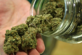 “大麻合法化”民意调查：四成人尝试过