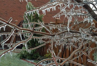 加拿大东部重返冬季 今日晚间还有降雪