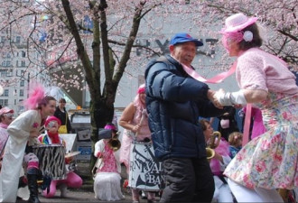 温哥华粉色海洋 樱花给市民带来的欢乐