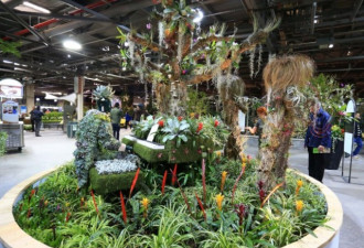 加国花卉与园艺博览会开幕 展期10天