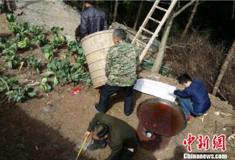 四川广元：农妇被巫师装进木桶蒸死