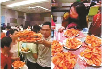 中国游客泰国疯狂抢虾 真相居然是......