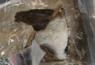 边境局在皮尔逊机场查获118公斤毒品