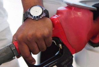 大温哥华地区油价 本周日升至118.9元