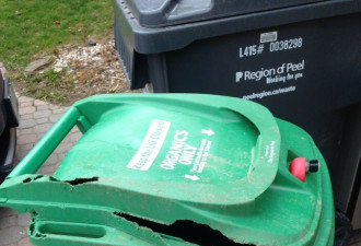 多市启用新型绿垃圾桶 真能防浣熊吗？