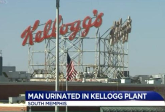 视频有真相 Kellogg工人竟对着麦片小便