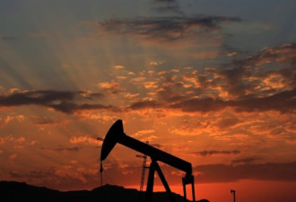 油价暴跌导致加拿大的石油投资暴跌