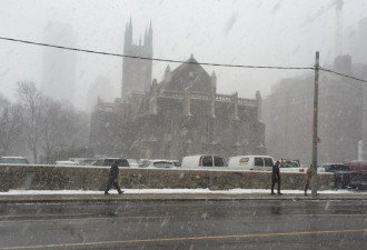 加西是盛夏 多伦多今天很冷明天还下雪