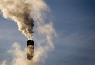 环境报告：加拿大在16国家中倒数第3