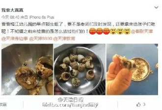 天津幼儿园早餐有蛆虫 园方:签协议退园