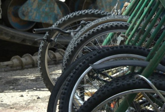 埃德蒙顿市2015年自行车被偷大增43%
