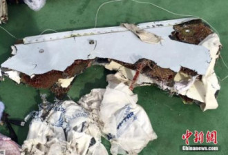 失事埃航曾要求急降清浓烟 曾见不明飞行物