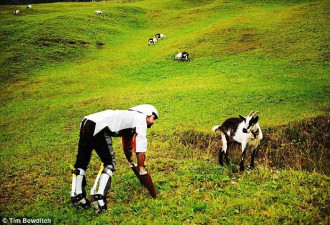 失业者装假腿进山当羊 每天爬坡吃草