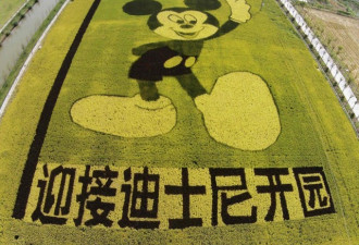 中国首富挑战迪士尼 唐老鸭时代落幕？