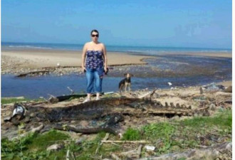 英海滩惊现巨型动物神秘尸体 长三米