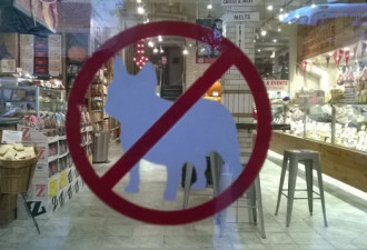 Bayview Village Mall 禁止宠物入内