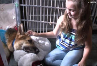 7岁女孩眼看就要被蛇咬 爱犬跳到中间挡住