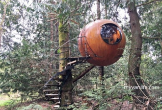 造访BC省球型树屋 在林海间载浮载沉