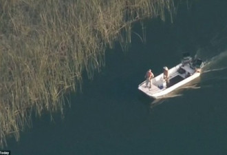 男童在奥兰多迪士尼被鳄鱼拖入湖中 尸体寻获