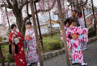 日本女子和服中暗藏玄机:令人面红耳赤