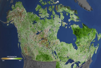 气候变暖：加拿大北部绿带猛增了30%