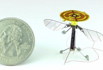 美国研发超小型飞行机器人:静电吸附物体监听
