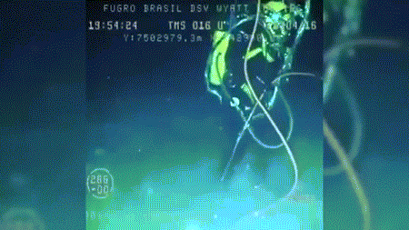 惊魂一刻：剑鱼冲向潜水员刺中氧气装置