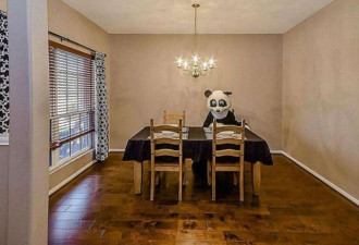 四居室标价20万 德州女子为卖房打扮成熊猫