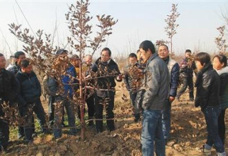 陕西20名职业农民被录取上大学 平均年龄38岁