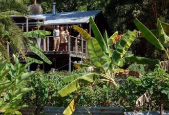 拒绝塑料!澳洲六口之家住雨林树屋 自产自足