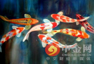 男子偷走锦鲤卖不出 煮火锅一口吃掉“3万元”