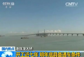 又一超级工程！中国7年建一桥创多项世界之最