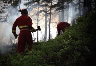 BC今年林火灭火预算已用掉五分之三