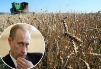 普京周六将访中国 将签订对华供应小麦合同