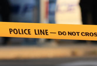 多伦多西区伤人案 2男子街上被刺受伤