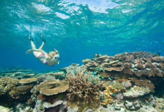 2016年全球最佳景点出炉 大堡礁高居榜首