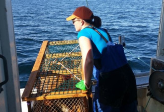 女汉子：PEI的龙虾捕捞业有更多女性当船长