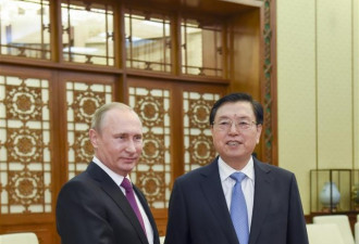 俄罗斯总统普京访华 李克强张德江分别会见