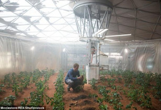 模拟火星土壤种的植物能吃:种植效果跟地球一样
